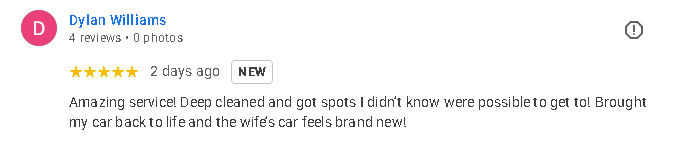 Dylan Williams Google review screenshot for Elevated Pro Detailing